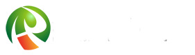 新聞動態-不傷皮帶不漏煤犁煤器_lk犁式卸料器_防溢裙板_凍粘皮帶滾筒_二次減震帶彈簧的緩沖床-煙臺奧普礦山機械有限公司